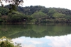 9211_thailand_phattalung_sal_forest_reservoir_6283