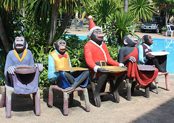 Lopburi Monkeys