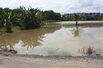 River, Nakhon Si Thammarat Province