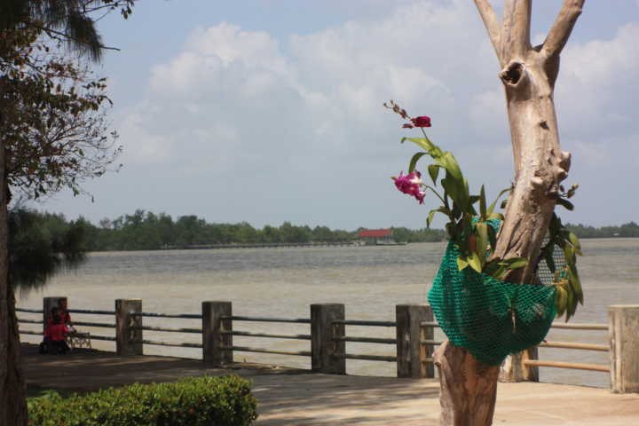 Songkhla Lake, Thailand