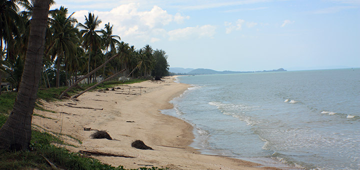 travel, thailand, sichon, beaches, monkeys, coconuts
