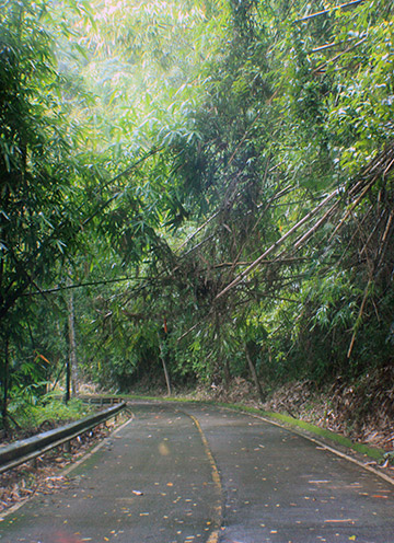 travel, thailand, phang nga