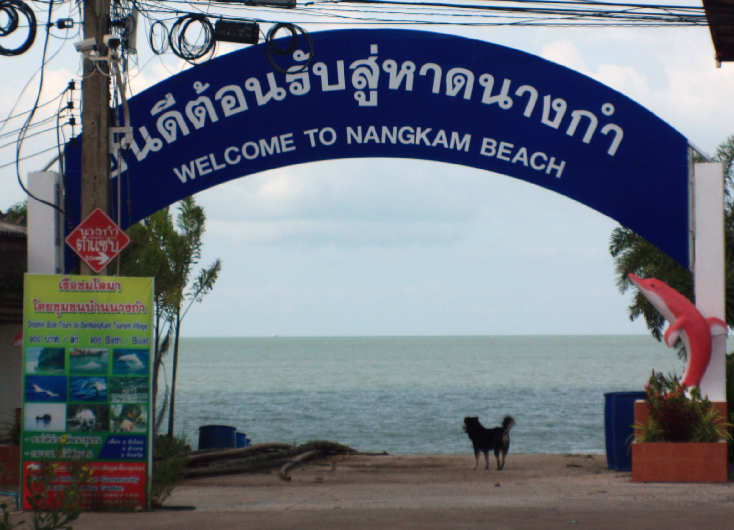 travel, thailand, surat thani, don sak, nangkam beach