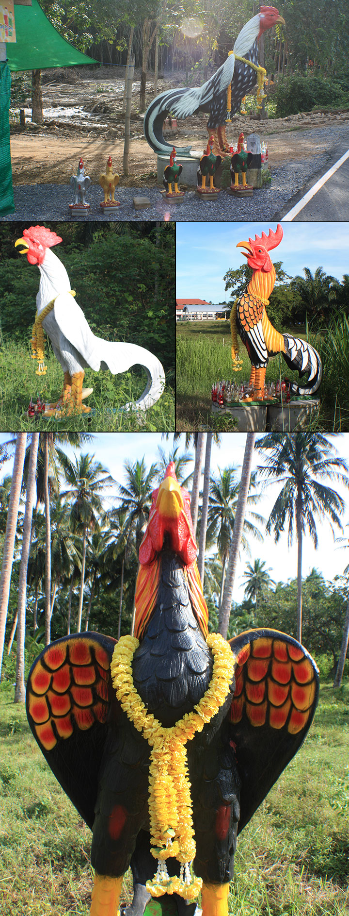 travel, thailand, sichon, roosters