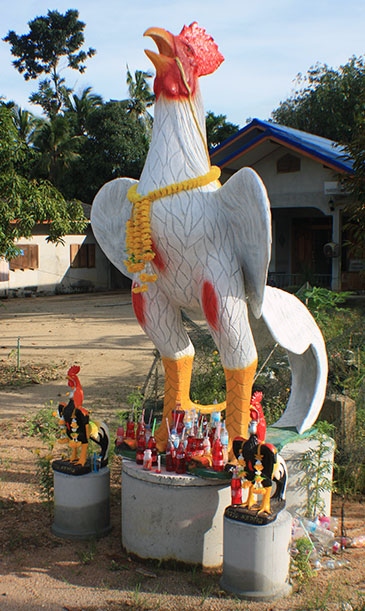 travel, thailand, sichon, roosters