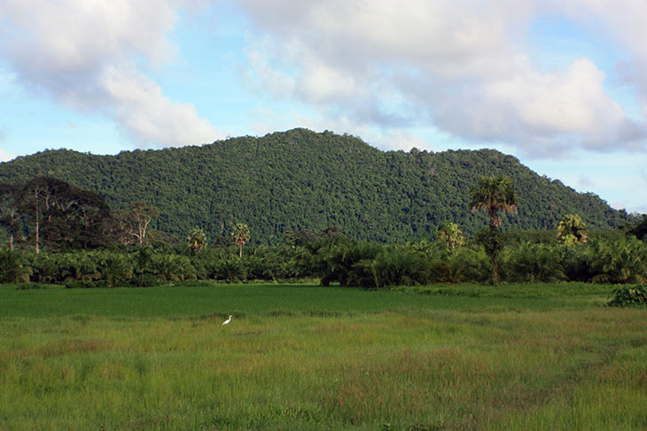 travel, thailand, sichon, scenery