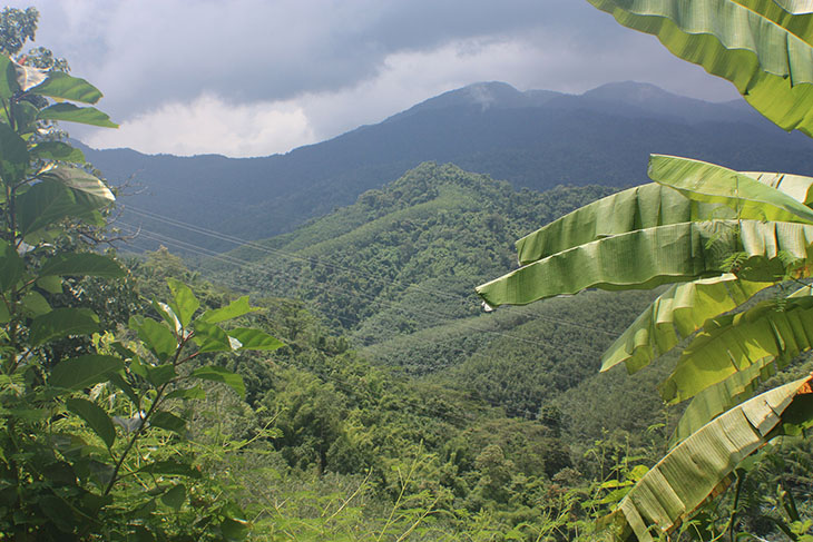 Thailand Thale Mok Lookout