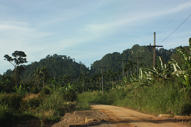 Nakhon Si Tammarat Surat Thani Mountain Pass