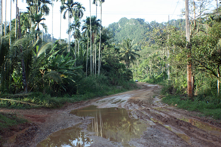 Nakhon Si Tammarat Surat Thani Mountain Pass