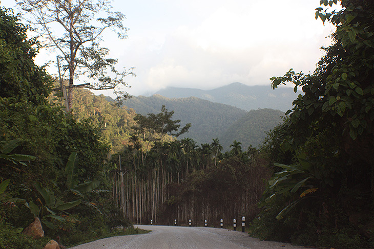 Nakhon Si Tammarat Surat Thani Mountain Pass