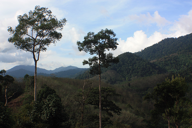 Thale Mok Lookout Nakhon Si Thammarat