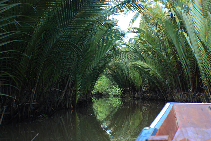 thailand_tapi_river_surat_thani