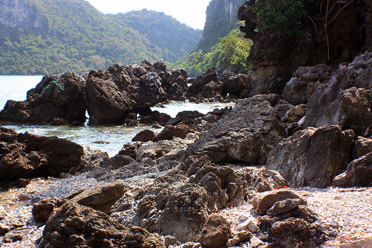 Thailand, Ban Nang Kam, Eco Walk