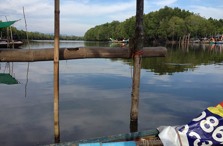 Thailand Mangrove Kayaking Khanom