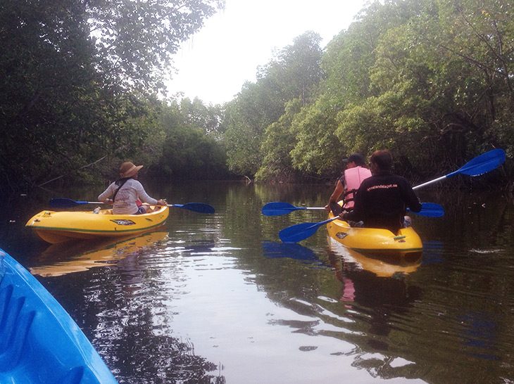 Thailand Mangrove Kayaking Khanom