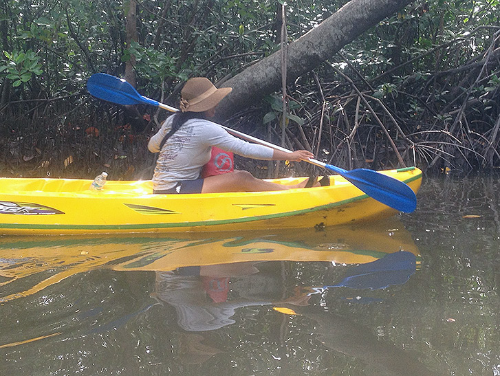 Thailand Mangrove Kayaking Khanom