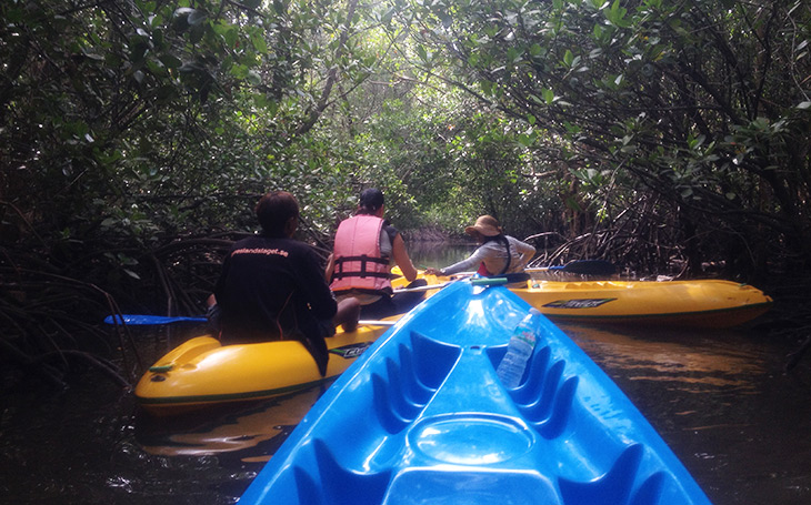 Thailand Mangrove Kayaking Khanom