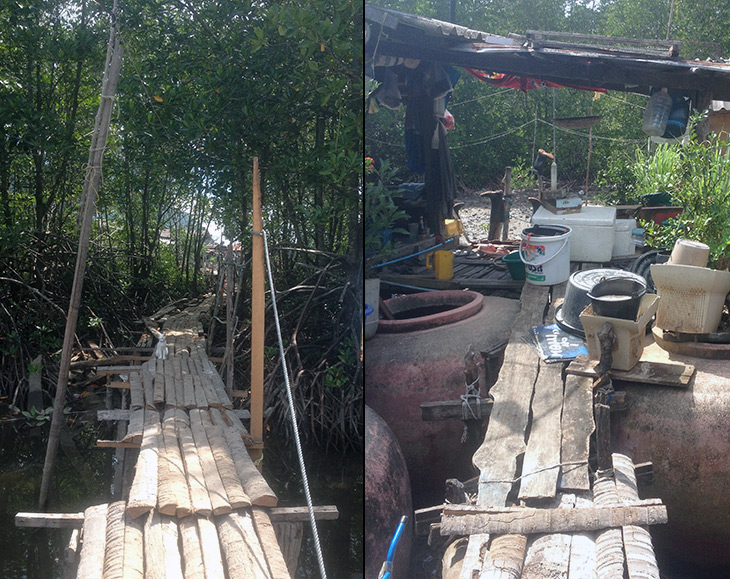 Thailand Mangrove Kayaking Khanom