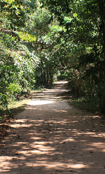 Thailand Wat Suan Mokkh