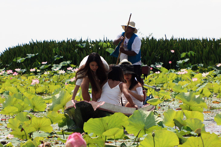 Thailand Thale Noi Waterfowl Waterlilies