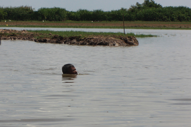 Thailand, Travel, Thale Noi