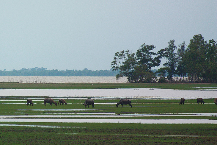 Thailand, Travel, Thale Noi