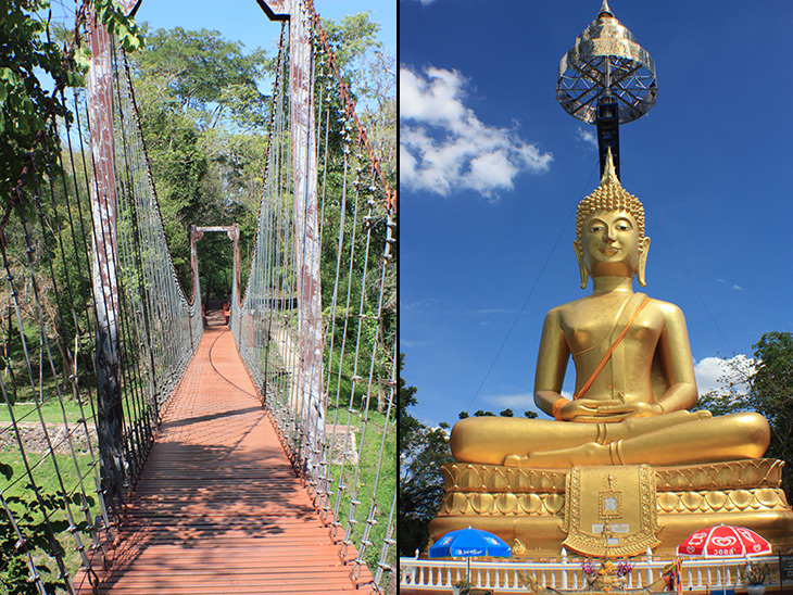 thailand khao kradong forest park 2955