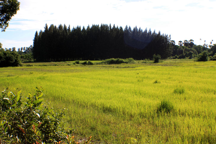 Khanom, Nakhon Si Thammarat, Thailand