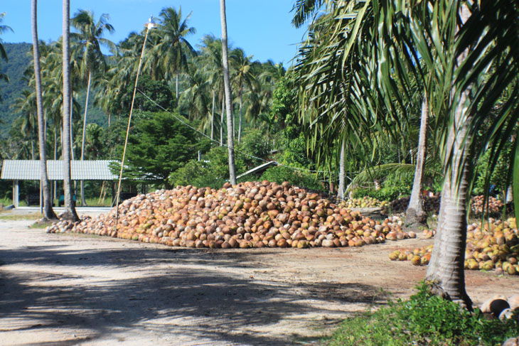 Khanom, Nakhon Si Thammarat, Thailand