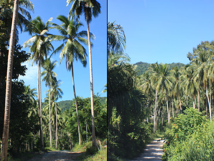 Khanom, Nakhon Si Thammarat, Thailand