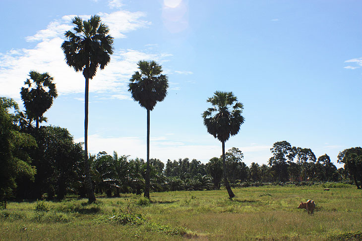 Khanom, Nakhon Si Thammarat, Thailand