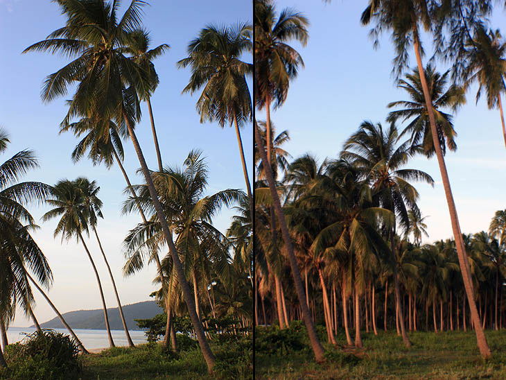 Thailand, Khanom, Beach, Sunrise