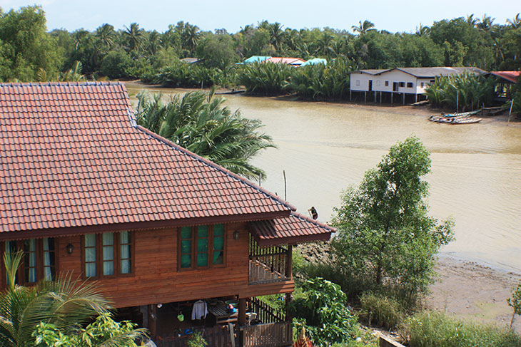 Thailand Surat Thani Rivers