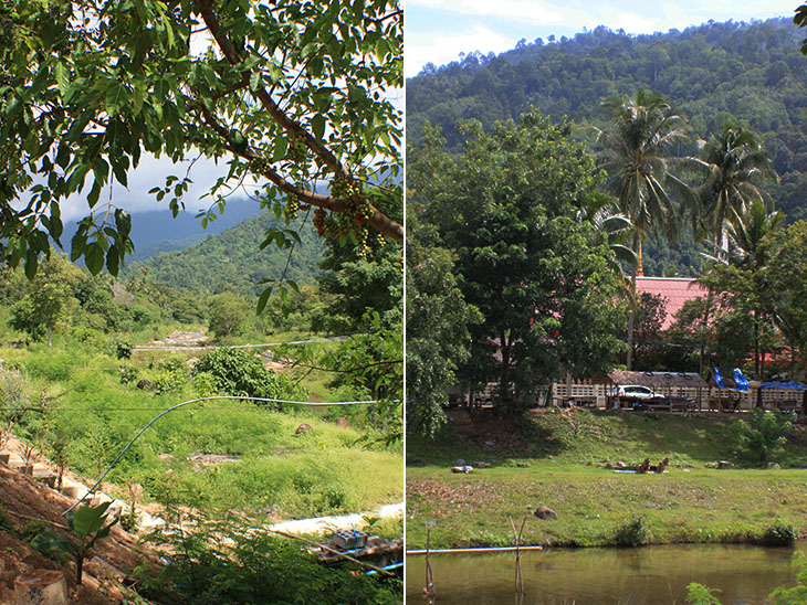 thailand, ban khiri wong, nakhon si thammarat