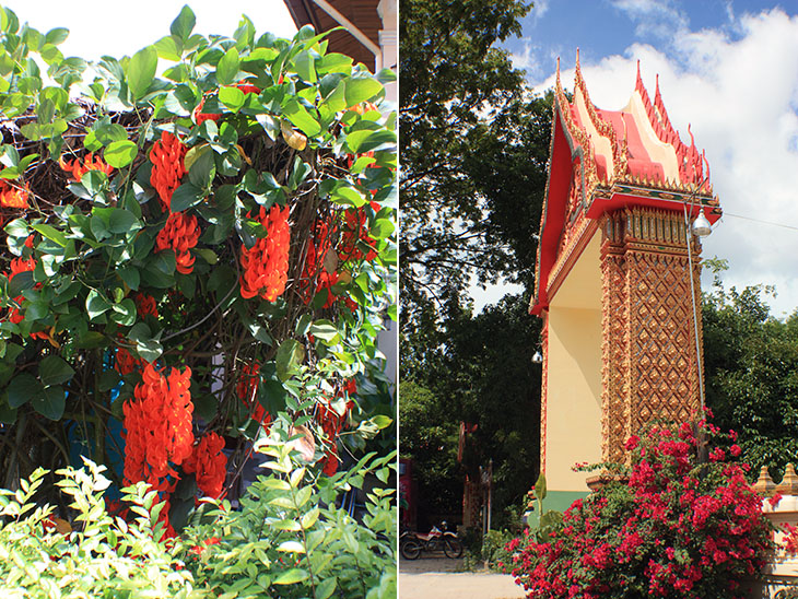 thailand, ban khiri wong, nakhon si thammarat