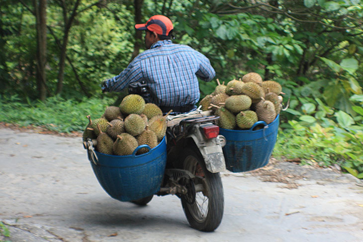 thailand, ban khiri wong, nakhon si thammarat