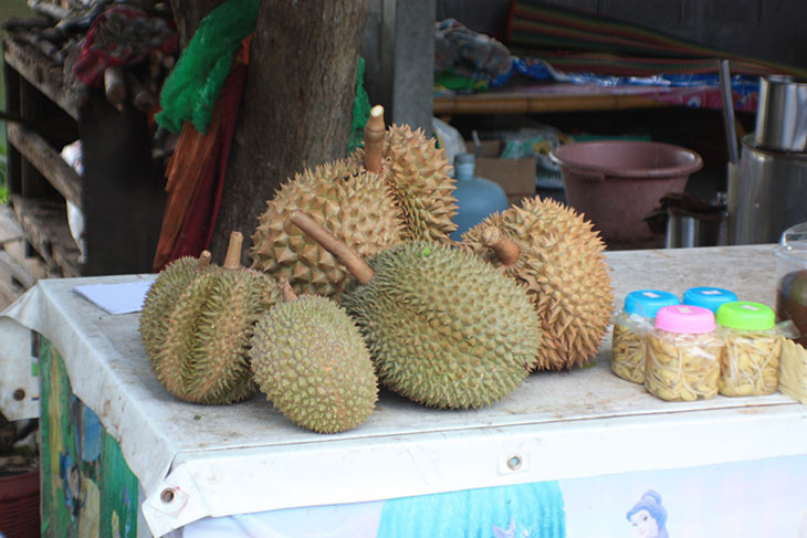 thailand, ban khiri wong, nakhon si thammarat