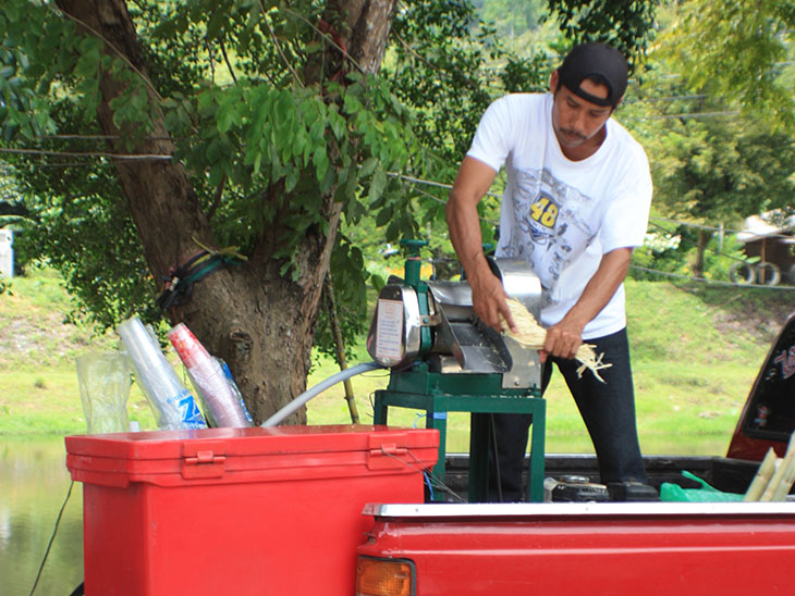 thailand, ban khiri wong, nakhon si thammarat