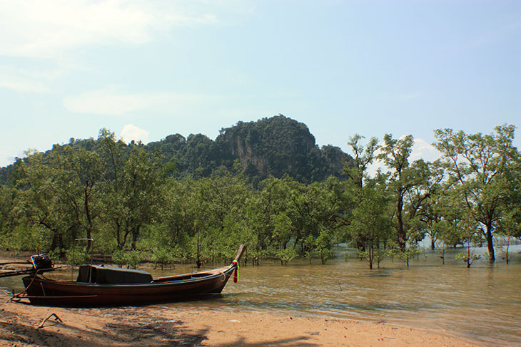 8238_thailand_krabi_ban_laem_sak_4968