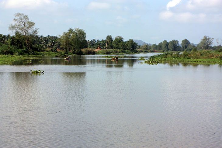 Khun Thale Swamp, Surat Thani, Thailand