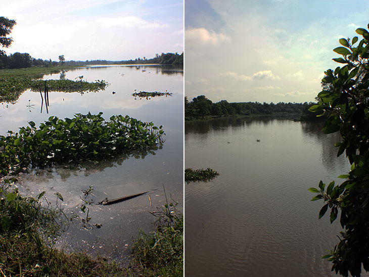 Khun Thale Swamp, Surat Thani, Thailand