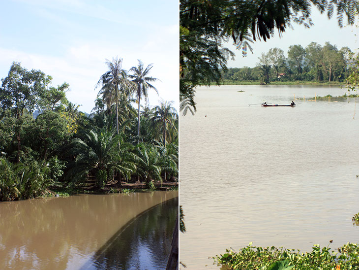 Khun Thale Swamp, Surat Thani, Thailand