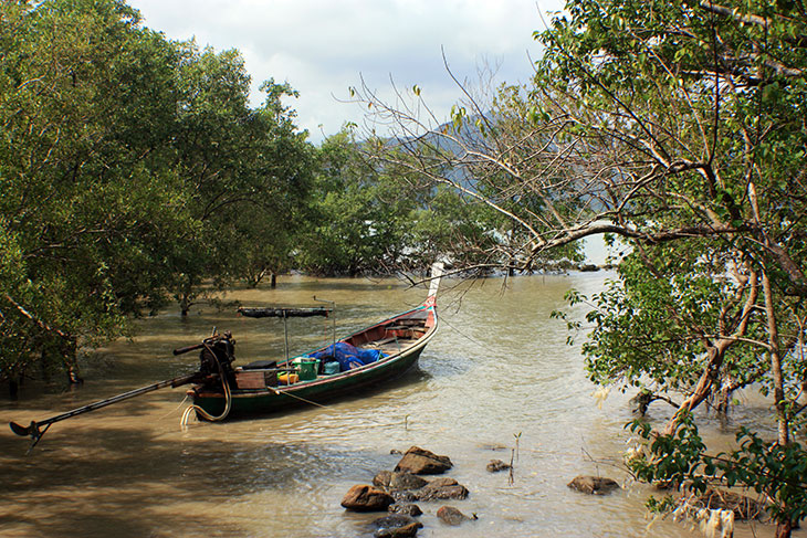 8662_thong_nian_khanom_thailand_5546