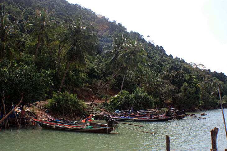 thong nian, khanom, thailand