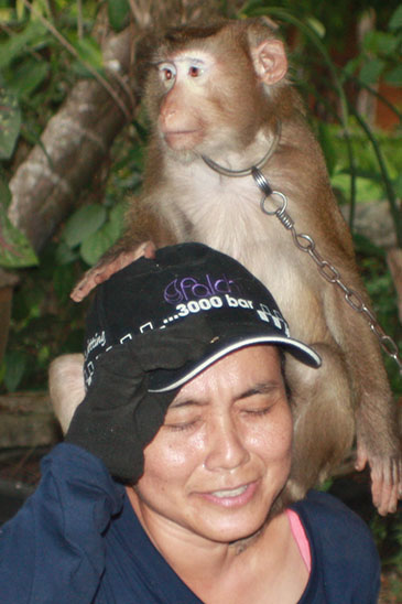 Monkey Training School, Surat Thani, Thailand