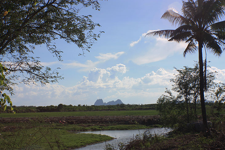 Thailand, Surat Thani Province, Ban Chonkhram