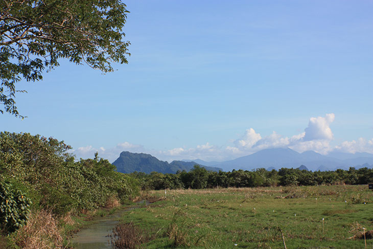 Thailand, Surat Thani Province, Ban Chonkhram