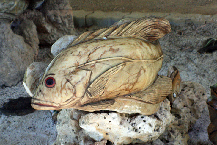 thailand, don sak, fish stone museum