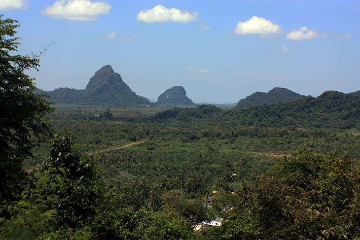 Wat Chan Thattharam, Tong Nian