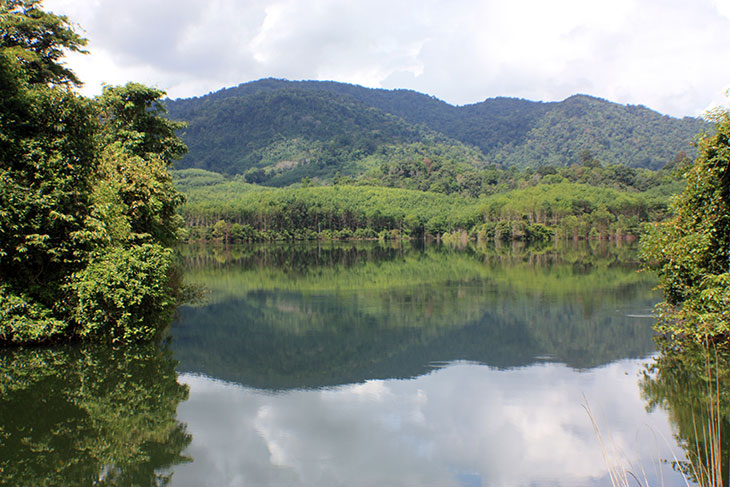 Thailand, Phattalung, Sal Forest Reservoir